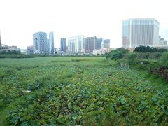 -龙环葡韵住宅式博物馆