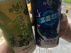 蓝莓风味发酵乳-扬大康源乳业鲜奶吧(大学北路店)