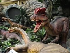 -国家自然博物馆