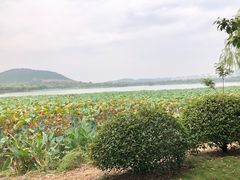 -云龙湖旅游景区