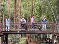 -同里国家湿地公园