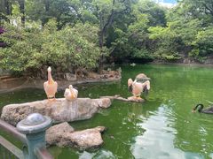 -昆明动物园