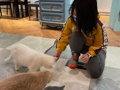 -猫小院猫主题餐厅(三里屯店)