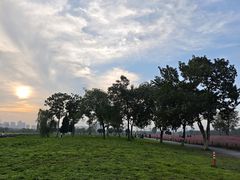 -汉长安城未央宫国家考古遗址公园