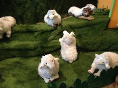 -济州岛泰迪熊博物馆