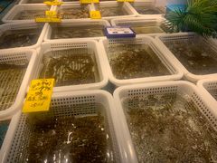 -驻海渔市(置信店)