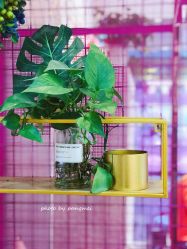 店内环境-缪斯美甲美睫