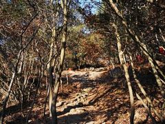 -南京市无想山景区