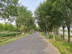 -东郊湿地公园