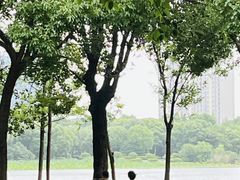 -南翔镇银翔湖公园