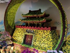 -杭州植物园