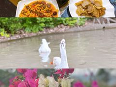 -晓雯人家