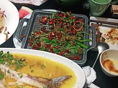 -三强鸽子(中原路店)