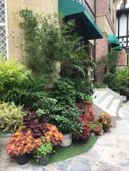 -新蝶变皮肤管理中心