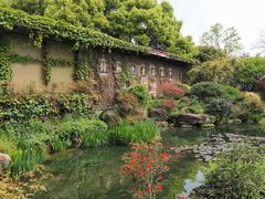 -中国茶叶博物馆(双峰馆区)