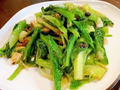 -春茗熙