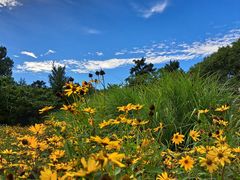 -国家植物园南园