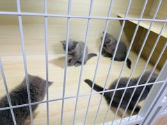 -三旗百汇商品城