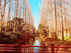 -东平国家森林公园
