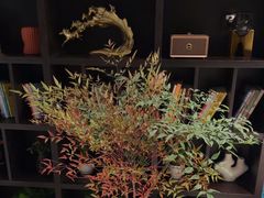 -铂尔登国际酒店(南山深圳湾口岸店)