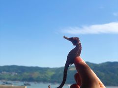 -渔寮风景区