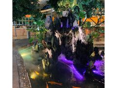 -荔城生鲜盛宴(番禺旗舰店)