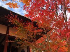 -常寂光寺