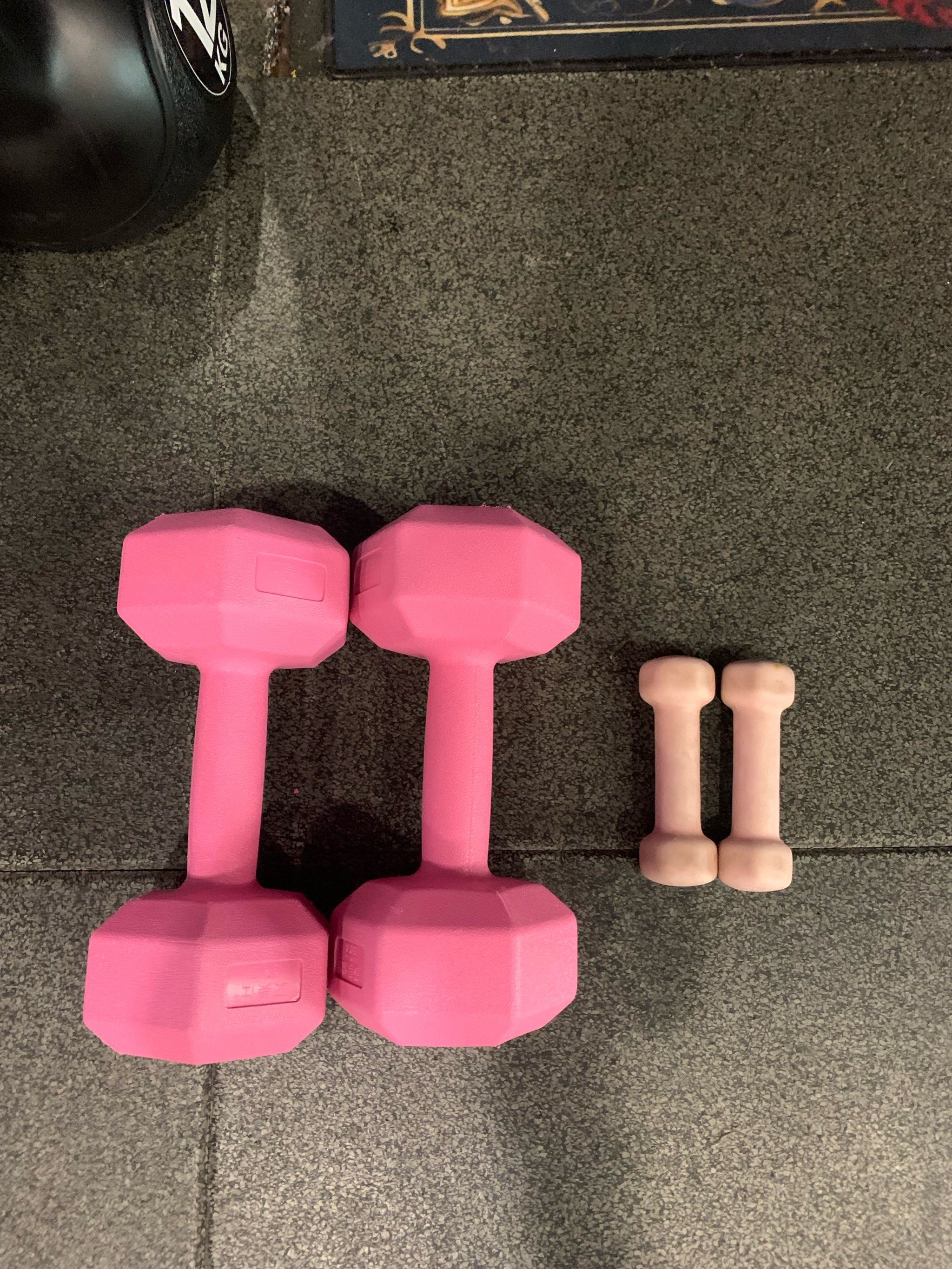 roses 2024: 高科技24小时健身房