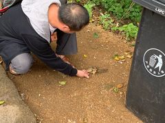 -五营红松林海景区