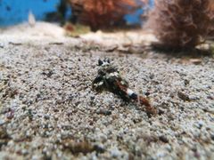 -鹿儿岛水族馆