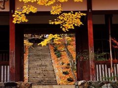 -常寂光寺