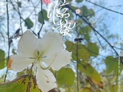-田心森林公园