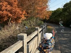 -上海海湾国家森林公园