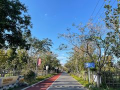 -前小桔亲子创意农场·草莓采摘·露营烧烤