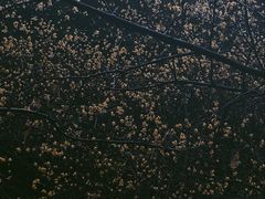 -杭州植物园