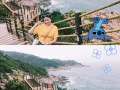 -广东惠东海龟国家级自然保护区