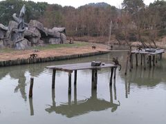 -宁波野生动物园