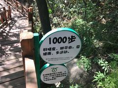 景点-大岭沟猕猴桃谷风景区