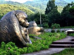 -青峰峡国家森林公园