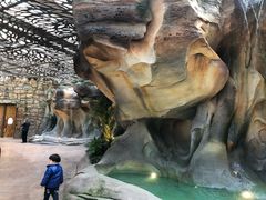 -杭州开元森泊度假乐园