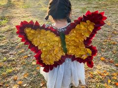 -辛玛王国游乐园