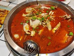 -蛙一刀·麻椒鱼火锅(金仙桥店)