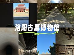 -洛阳古墓博物馆