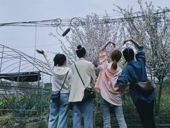 -洪湖家庭农场·团建·露营·会议