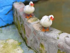 -栾川竹海野生动物园