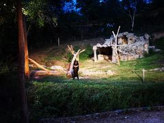 -清迈夜间动物园