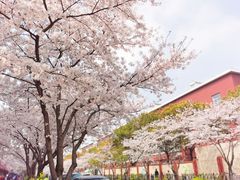 -永乐路-路侧停车场
