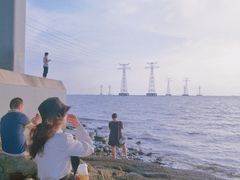 -宝安西湾红树林湿地公园