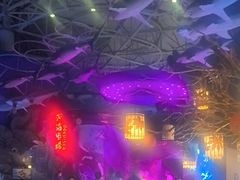 -烟台海昌鲸鲨海洋公园