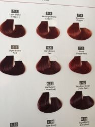 -ＤＯＭＯプロの美容サロン